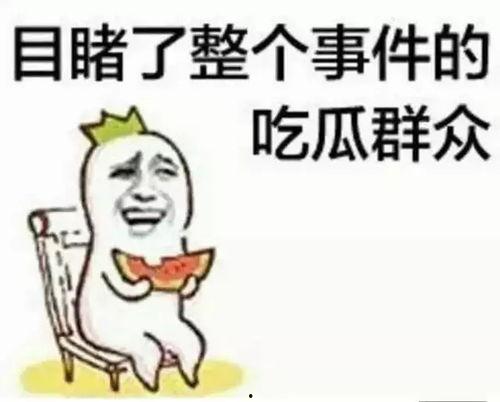 吃瓜群众王雨慧视频大全,揭秘娱乐圈幕后故事