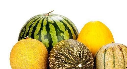 常吃蓝瓜有啥好处吗视频