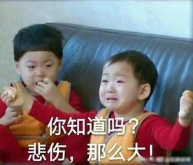 六一家长吃瓜事件视频,一场校园风波引发的舆论漩涡