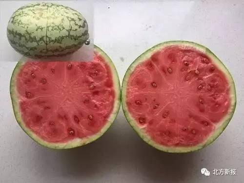 假瓜是怎么吃的图片视频