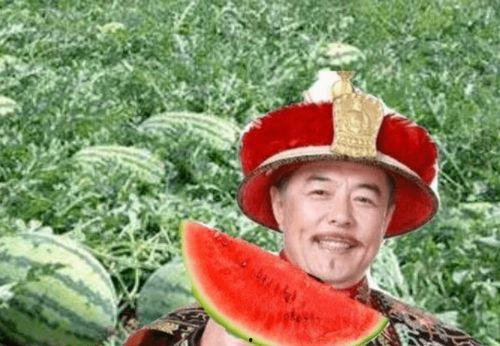 瓜农路上吃瓜视频,意外走红网络