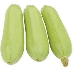 别人吃角瓜的视频大全图片,视频大全图片带你领略角瓜美味瞬间