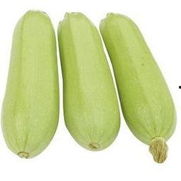 吃蒸角瓜能瘦吗视频讲解,视频讲解揭示神奇瘦身效果