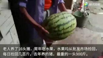 吃瓜视频都是什么人看的