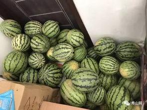 什么瓜可以油榨着吃呢视频,揭秘哪些瓜果可榨油食用