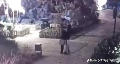 河北吃瓜完整视频,一场全民热议的视觉盛宴