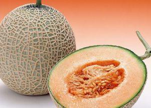 吃哈密瓜视频儿歌歌词,儿歌中的甜蜜冒险