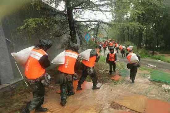 最新河南吃瓜事件视频,真相与争议交织