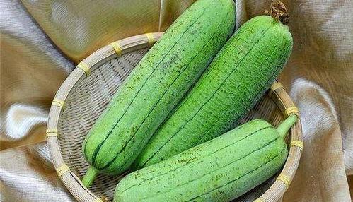 水瓜叶可以喂鸡吃吗视频,绿色环保的饲料新选择