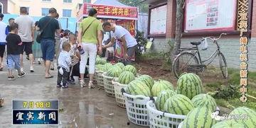 沙河视频吃瓜群,揭秘网络社交圈的趣味与争议