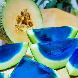 种的小瓜自己吃可以吗视频,小瓜种植与家庭自食体验分享