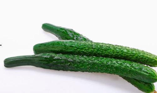 吃小瓜长肉快不快呢视频