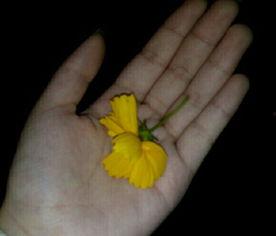 电影吃瓜素材视频大全,揭秘影视幕后那些鲜为人知的瞬间