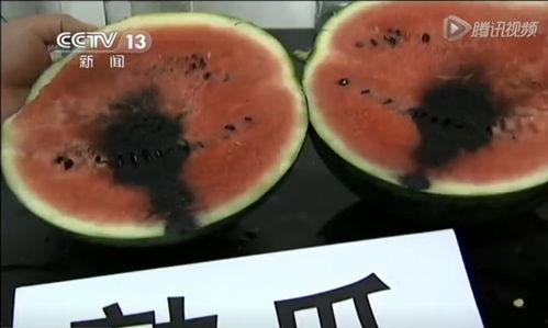 吃瓜最恶心视频大全集,一场视觉与心理的双重挑战