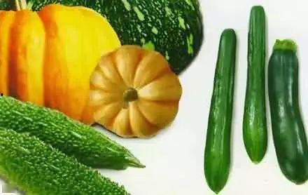 今夏吃瓜视频大全