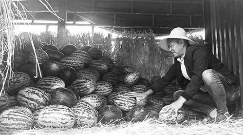 金乡吃瓜群众事件视频曝光