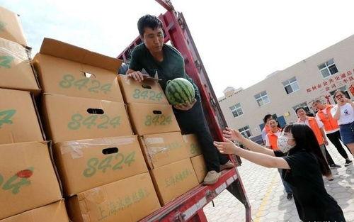 郑州二中老师吃瓜视频,校园生活幕后趣闻曝光