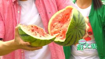 锦华观芷最新视频吃瓜,揭秘娱乐圈惊天大瓜，真相令人震惊！