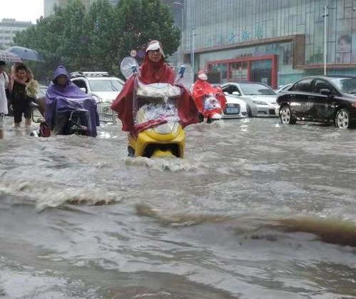 河南小孩子吃瓜事件视频