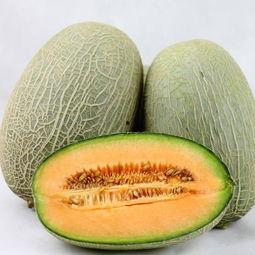 哈密瓜如何吃更好吃视频,视频教你如何吃出最佳口感